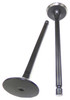 Exhaust Valve - 2009 Dodge Ram 2500 5.9L Engine Parts # EV1165ZE12
