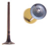 Exhaust Valve - 2006 Mitsubishi Lancer 2.4L Engine Parts # EV162ZE17