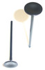 Exhaust Valve - 1992 Honda Accord 2.2L Engine Parts # EV219ZE3