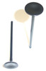 Exhaust Valve - 1995 Honda Prelude 2.2L Engine Parts # EV219ZE15