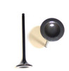 Exhaust Valve - 2000 Honda Prelude 2.2L Engine Parts # EV223ZE8