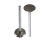 Exhaust Valve - 1992 Chevrolet Lumina 3.4L Engine Parts # EV3112ZE2