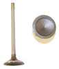 Exhaust Valve - 2009 Buick Lucerne 3.9L Engine Parts # EV3135ZE1