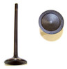 Exhaust Valve - 2009 Chevrolet Colorado 3.7L Engine Parts # EV3140ZE11