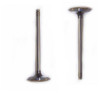 Exhaust Valve - 2001 Oldsmobile Alero 2.4L Engine Parts # EV332ZE19