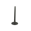 Exhaust Valve - 2015 Chevrolet Spark 1.2L Engine Parts # EV342ZE3