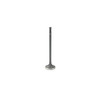 Exhaust Valve - 2011 Chevrolet Volt 1.4L Engine Parts # EV343AZE4