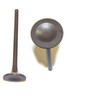 Exhaust Valve - 2004 Isuzu Rodeo 3.5L Engine Parts # EV353AZE2