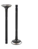 Exhaust Valve - 1998 Ford Contour 2.0L Engine Parts # EV431ZE4