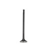 Exhaust Valve - 2015 Ford Focus 1.0L Engine Parts # EV4311ZE5