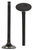 Exhaust Valve - 2001 Suzuki Esteem 1.8L Engine Parts # EV520ZE10