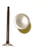 Exhaust Valve - 1998 Nissan Quest 3.0L Engine Parts # EV616AZE31