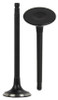 Exhaust Valve - 2005 Nissan Altima 2.5L Engine Parts # EV638ZE4