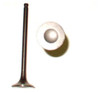 Exhaust Valve - 1995 Nissan Sentra 1.6L Engine Parts # EV641ZE5