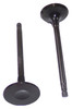 Exhaust Valve - 2011 Nissan Altima 3.5L Engine Parts # EV656ZE62