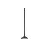 Exhaust Valve - 2015 Nissan Juke 1.6L Engine Parts # EV678ZE5