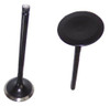 Exhaust Valve - 2011 Subaru Legacy 3.6L Engine Parts # EV729ZE2