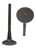 Exhaust Valve - 2001 Volkswagen Jetta 2.8L Engine Parts # EV815ZE22