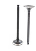 Exhaust Valve - 2003 Toyota Echo 1.5L Engine Parts # EV949ZE10