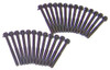 Head Bolt Kit - 2007 Dodge Ram 2500 6.7L Engine Parts # HBK1165ZE13