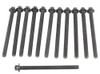 Head Bolt Kit - 2016 Buick Encore 1.4L Engine Parts # HBK343ZE4