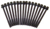 Head Bolt Kit - 2002 Isuzu Rodeo Sport 3.2L Engine Parts # HBK353ZE15