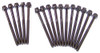 Head Bolt Kit - 2001 Lincoln LS 3.0L Engine Parts # HBK4109ZE22