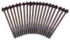 Head Bolt Kit - 2003 Ford Mustang 4.6L Engine Parts # HBK4135ZE1