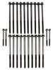 Head Bolt Kit - 2004 Lincoln LS 3.9L Engine Parts # HBK4162ZE9