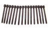Head Bolt Kit - 2011 Volkswagen Golf 2.5L Engine Parts # HBK813ZE12