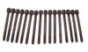 Head Bolt Kit - 2012 Volkswagen Golf 2.5L Engine Parts # HBK813ZE13
