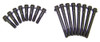 Head Gasket Set with Head Bolt Kit - 2003 Dodge Ram 1500 Van 3.9L Engine Parts # HGB1139ZE14