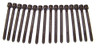Head Gasket Set with Head Bolt Kit - 1997 Audi A4 Quattro 2.8L Engine Parts # HGB808ZE2