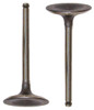 Intake Valve - 1986 Dodge Power Ram 50 2.6L Engine Parts # IV101ZE17
