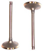 Intake Valve - 1985 Plymouth Colt 2.0L Engine Parts # IV105ZE38