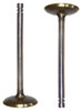 Intake Valve - 1994 Chrysler Concorde 3.3L Engine Parts # IV1135ZE2
