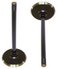Intake Valve - 2008 Chrysler Aspen 5.7L Engine Parts # IV1160ZE6