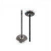 Intake Valve - 2011 Chrysler 300 3.6L Engine Parts # IV1169ZE8 Intake Valve - 2011 Chrysler 300 3.6L Engine Parts # IV1169ZE8