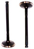 Intake Valve - 1999 Hyundai Elantra 2.0L Engine Parts # IV124ZE4