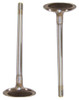 Intake Valve - 1993 Chrysler Concorde 3.5L Engine Parts # IV143AZE1