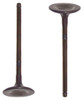 Intake Valve - 2006 Mitsubishi Eclipse 2.4L Engine Parts # IV162ZE1
