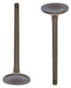Intake Valve - 2001 Honda CR-V 2.0L Engine Parts # IV212AZE11