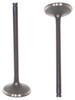 Intake Valve - 1997 Acura TL 2.5L Engine Parts # IV219ZE3