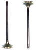 Intake Valve - 1996 Honda Odyssey 2.2L Engine Parts # IV245ZE6