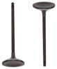 Intake Valve - 2010 Honda Accord 3.5L Engine Parts # IV263AZE78