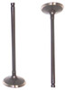 Intake Valve - 1989 Honda Civic 1.6L Engine Parts # IV290ZE17