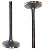 Intake Valve - 1999 Daewoo Lanos 1.6L Engine Parts # IV309ZE1