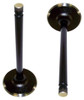 Intake Valve - 1999 Chevrolet K1500 Suburban 5.7L Engine Parts # IV3104ZE102
