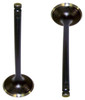 Intake Valve - 2002 Buick Century 3.1L Engine Parts # IV3117ZE3