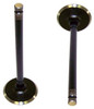 Intake Valve - 1991 Chevrolet Beretta 2.3L Engine Parts # IV3132ZE9